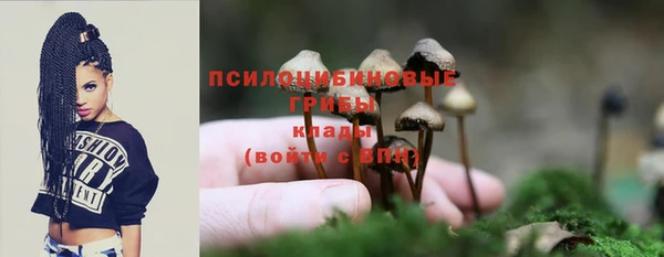 стафф Магас