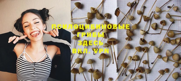 стафф Магас
