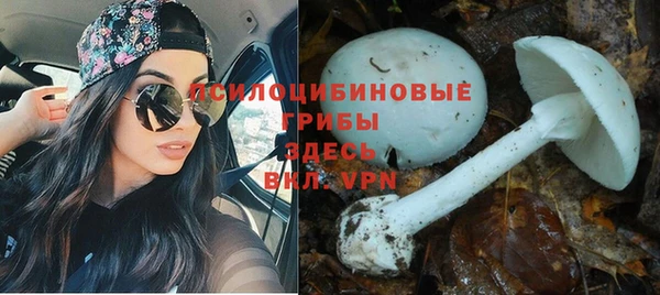 бошки Майский