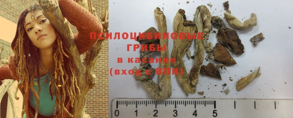 бошки Майский